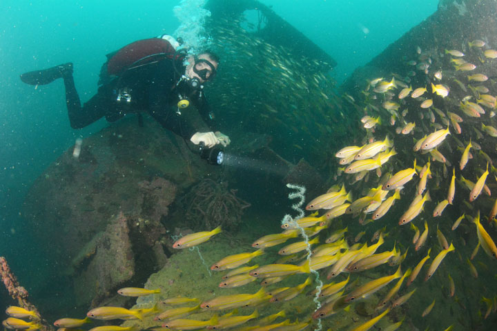 wreck diving in subic bay